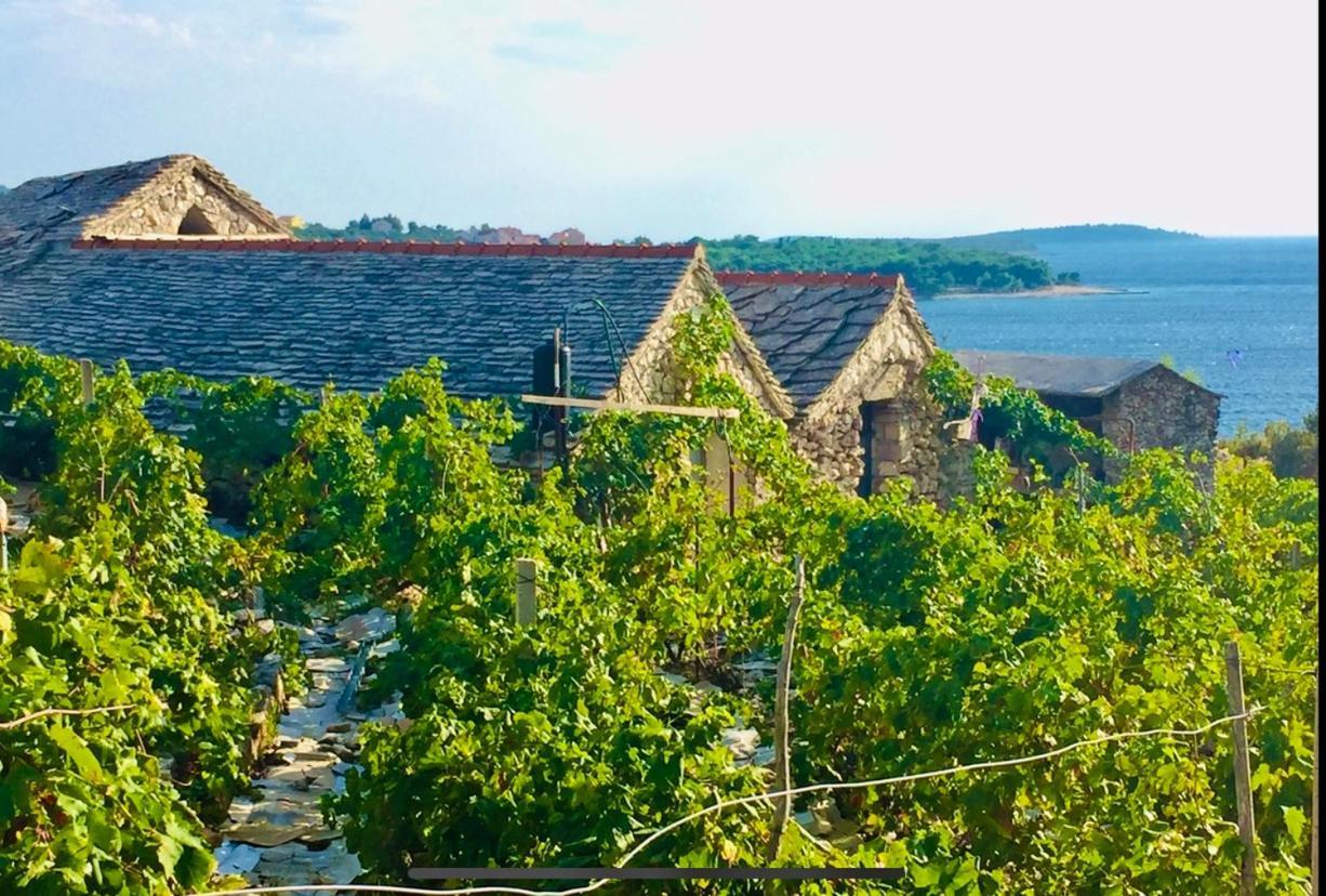 Eco-Friendly Estate I Aparthotel Primosten Bagian luar foto