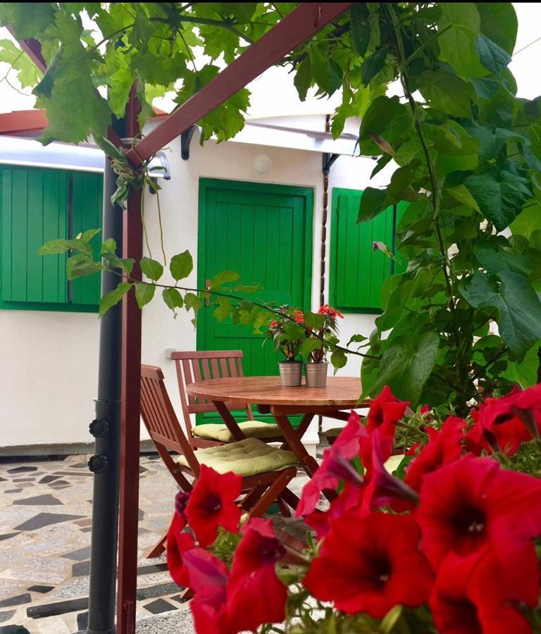 Eco-Friendly Estate I Aparthotel Primosten Bagian luar foto
